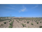 13-849/5790, 1 Bathroom Detached Villa in Cañada del Trigo