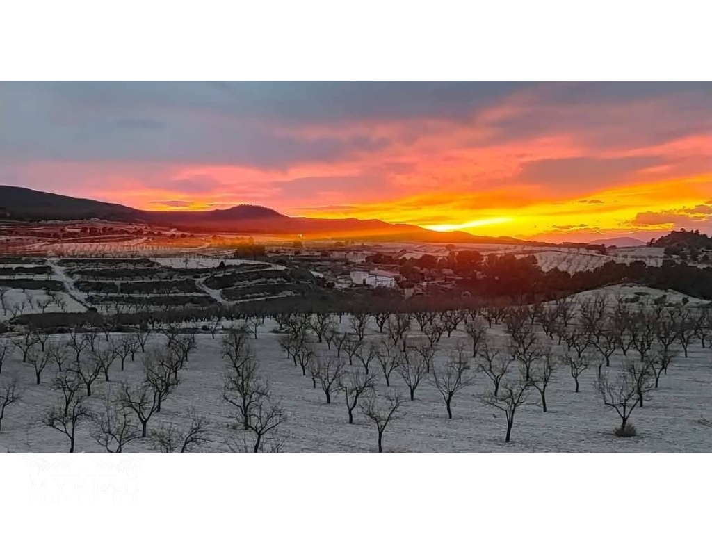 4 Bedroom 2 Bathroom Country house in La Zarza