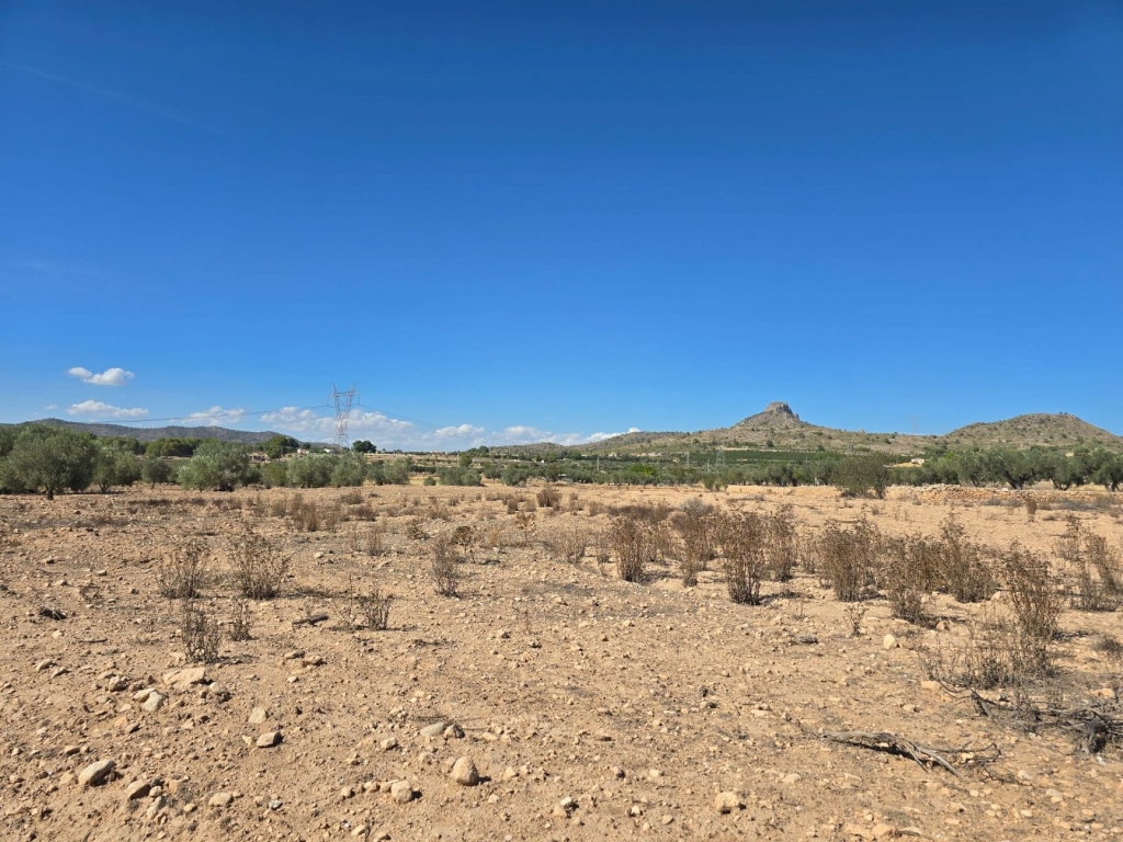 Land in Salinas
