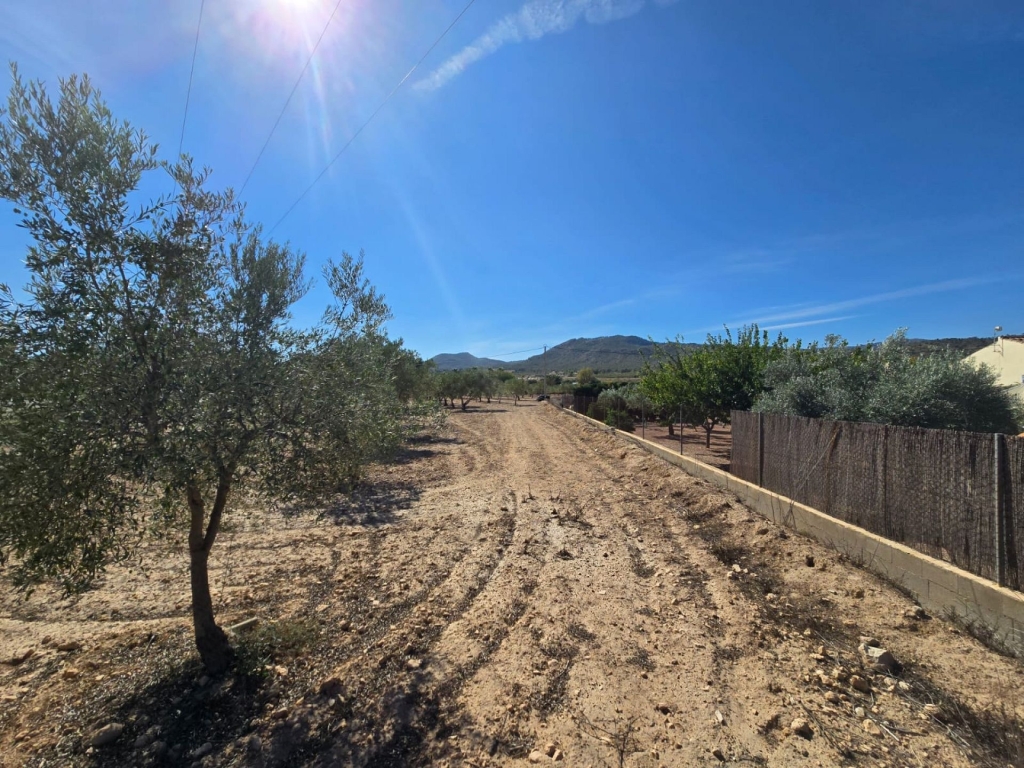 Land in Salinas