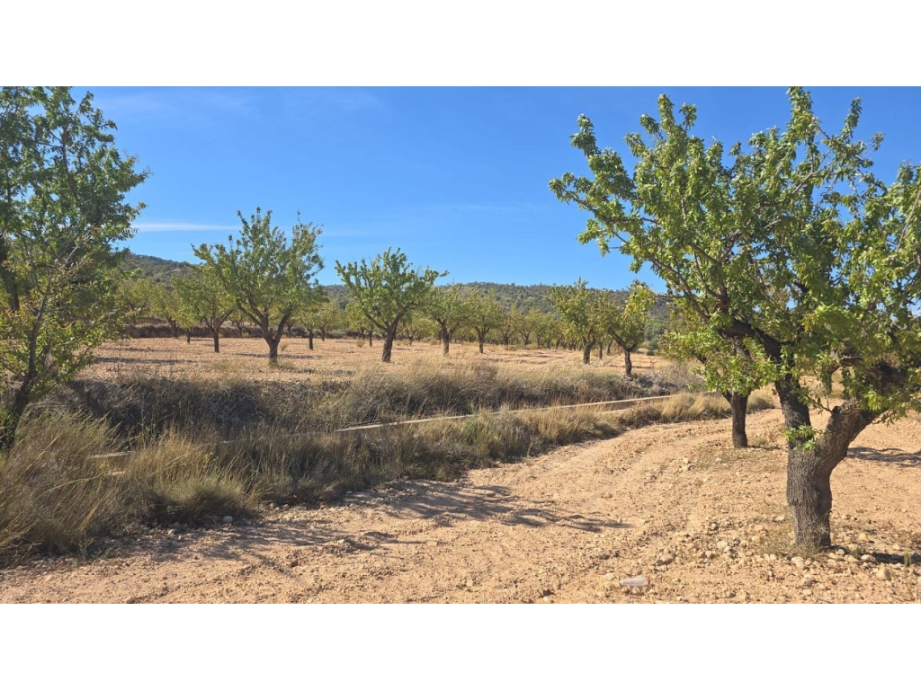 Land in Salinas