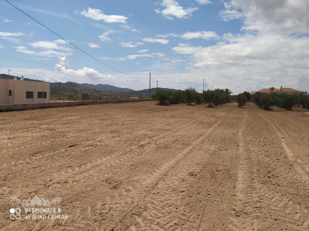 3b19f1fe-0035-40a2-b8a0-a965e72b2c8e-1