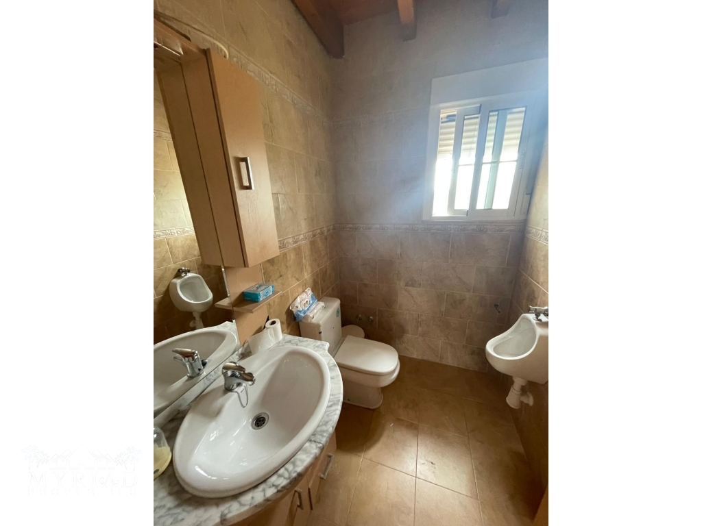 293ea786-fcf4-4ee5-adaf-5ee23f8cb8ff