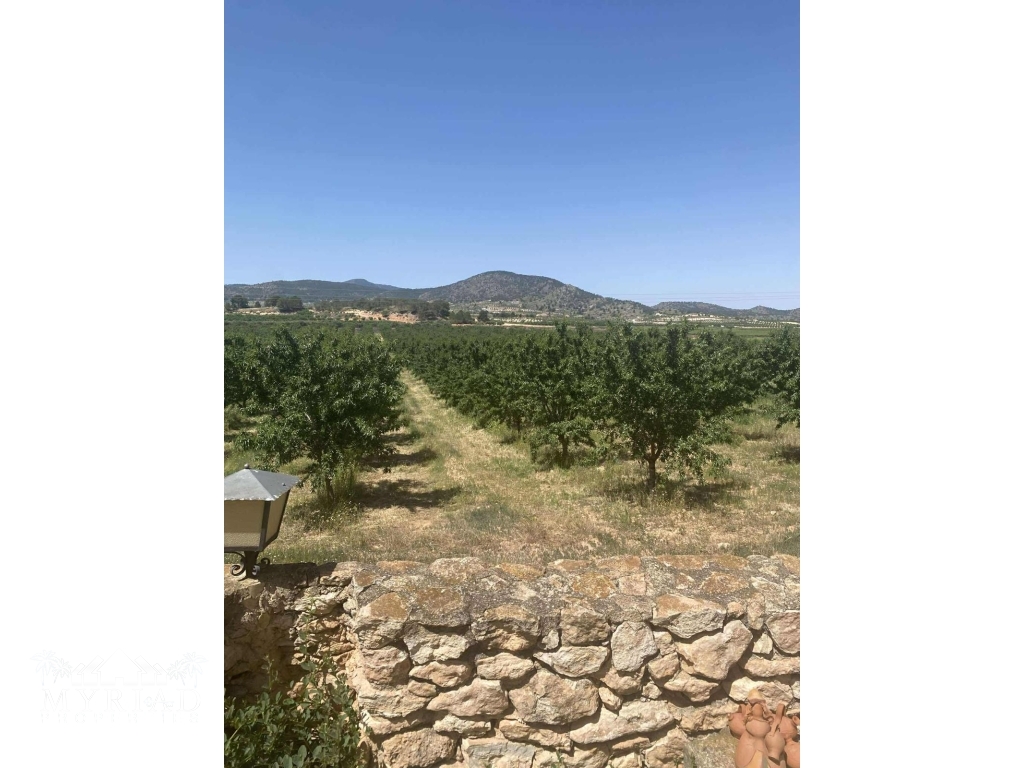 c0f9b53a-211d-4ffe-9521-18f81200d7d3