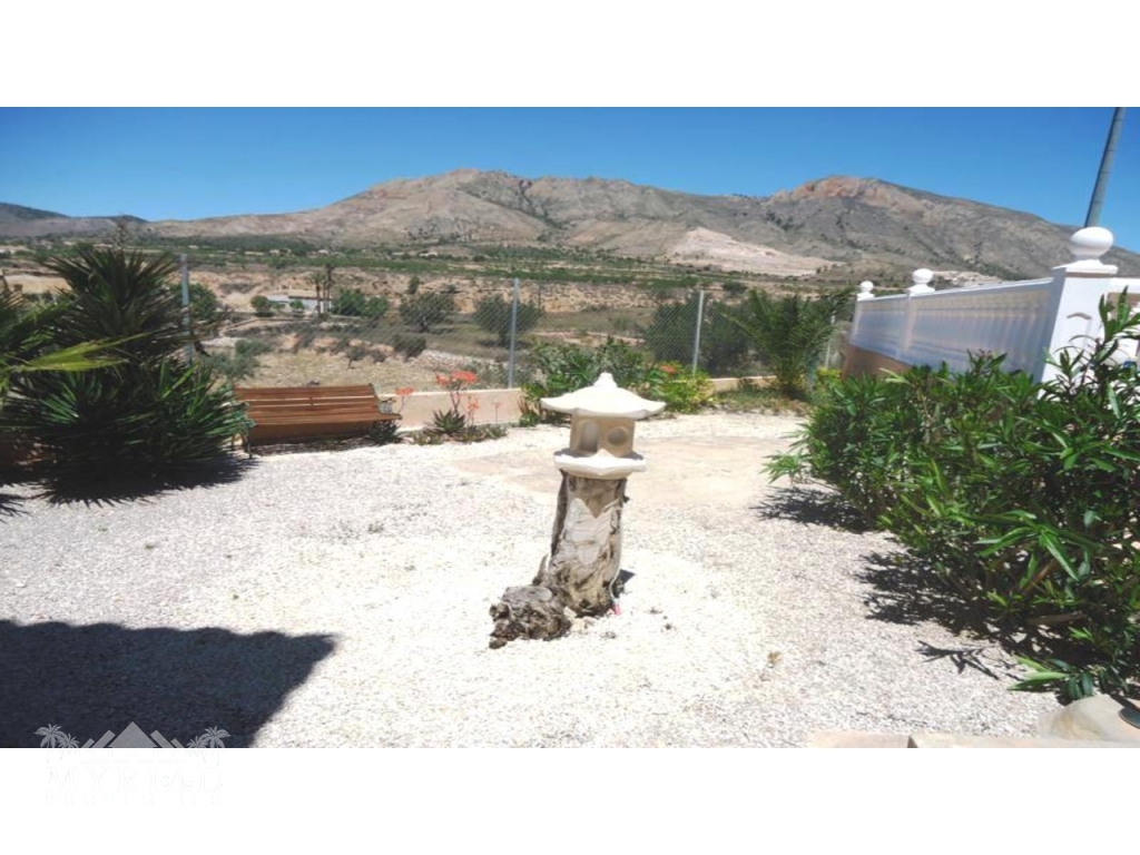 Image13