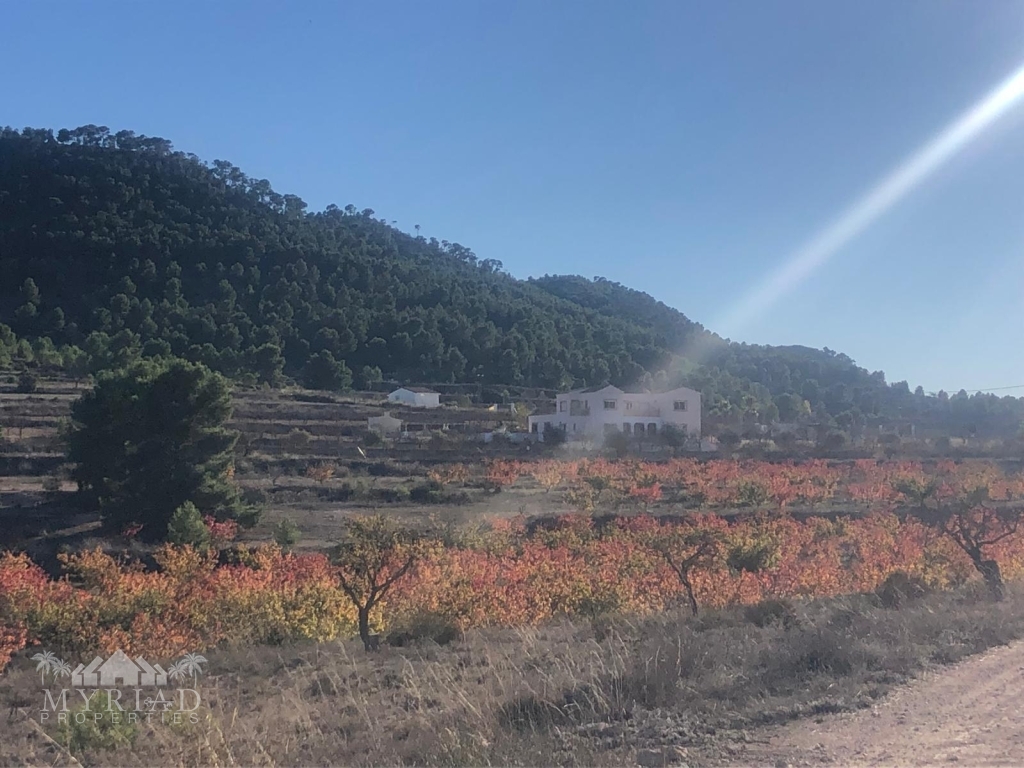 0f994733-9ee7-4915-a43d-214ee49305c3