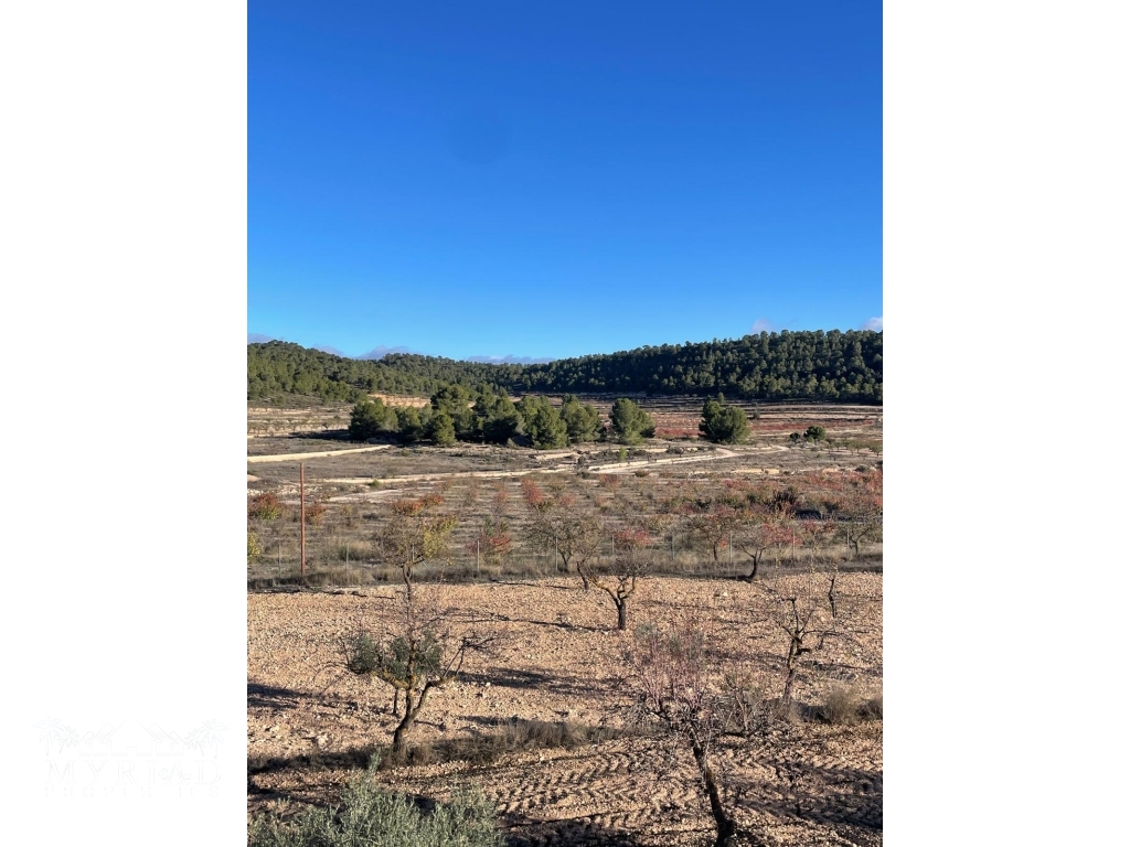 2098a0cf-06be-4027-b6ce-e1f49b63d4e7