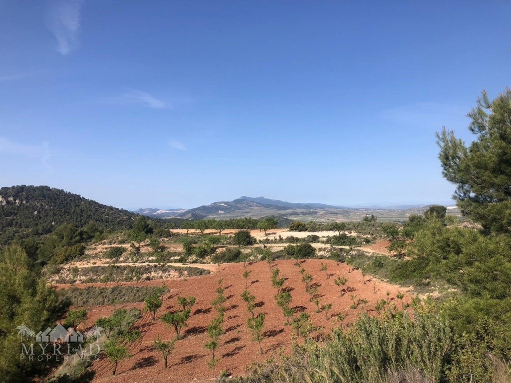 649691a1-fb7b-42c6-9f7f-8c74e796355a