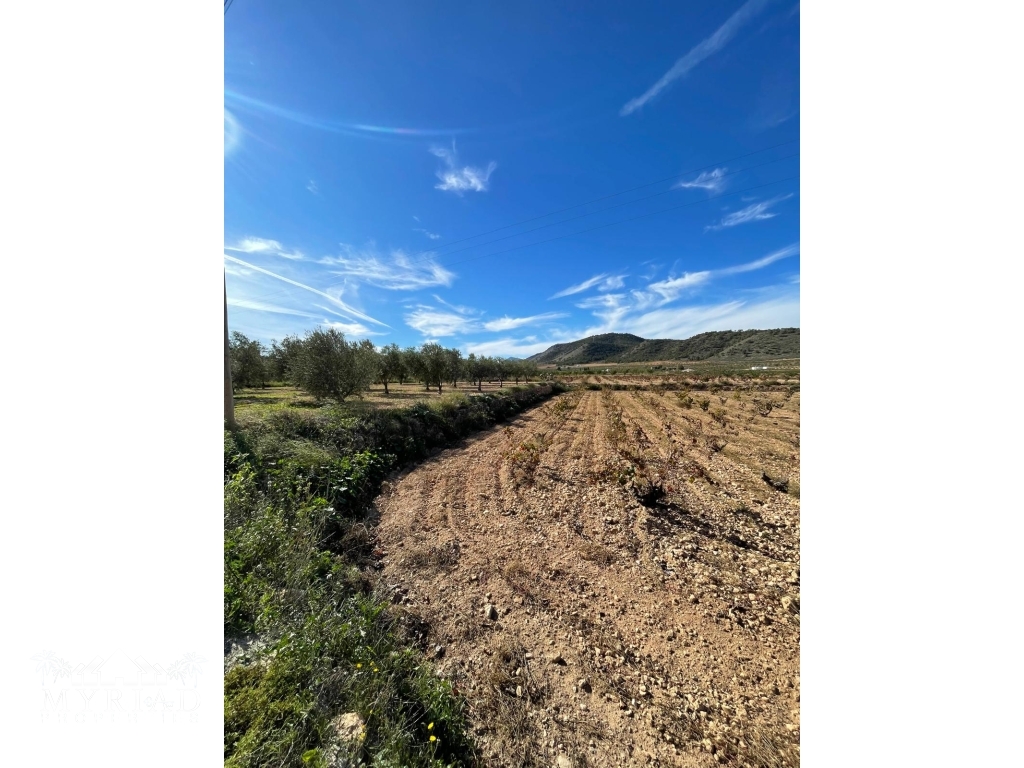 d913b963-a985-4828-9668-4d5045bd6c96