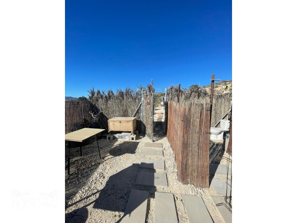 00c35857-827a-4865-80b6-14017d716acc