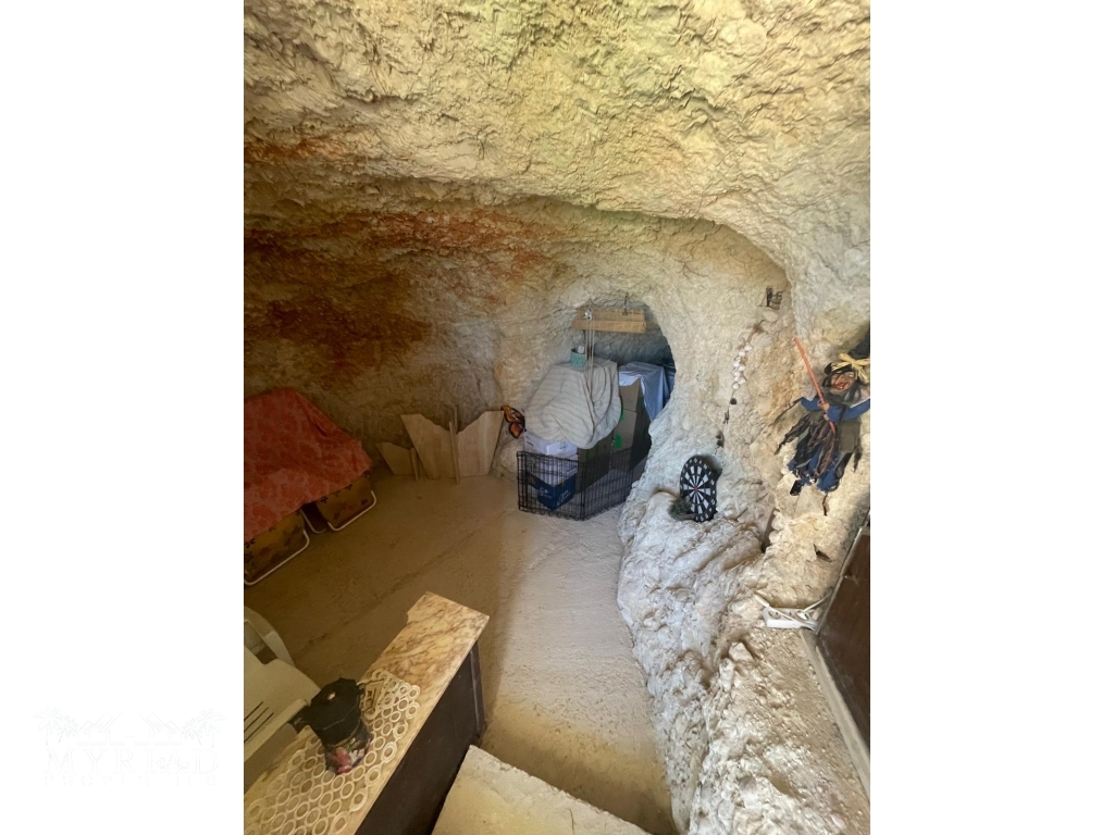 021f15c8-e8b2-4de5-ad4b-83e2428c7f36