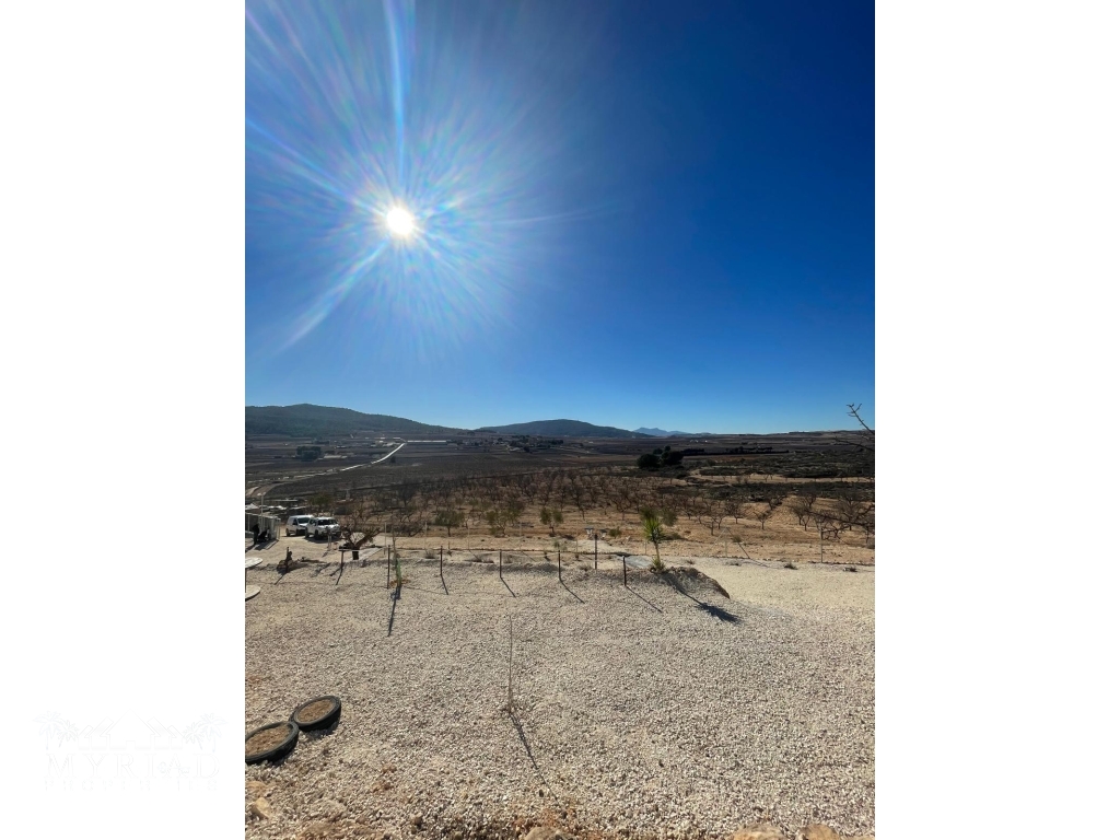 1290a822-5019-45b0-9d5e-30e6345e7210