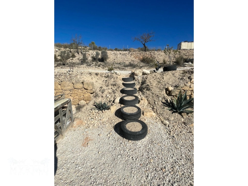 3028b036-0d36-44d3-a080-674fb8553495