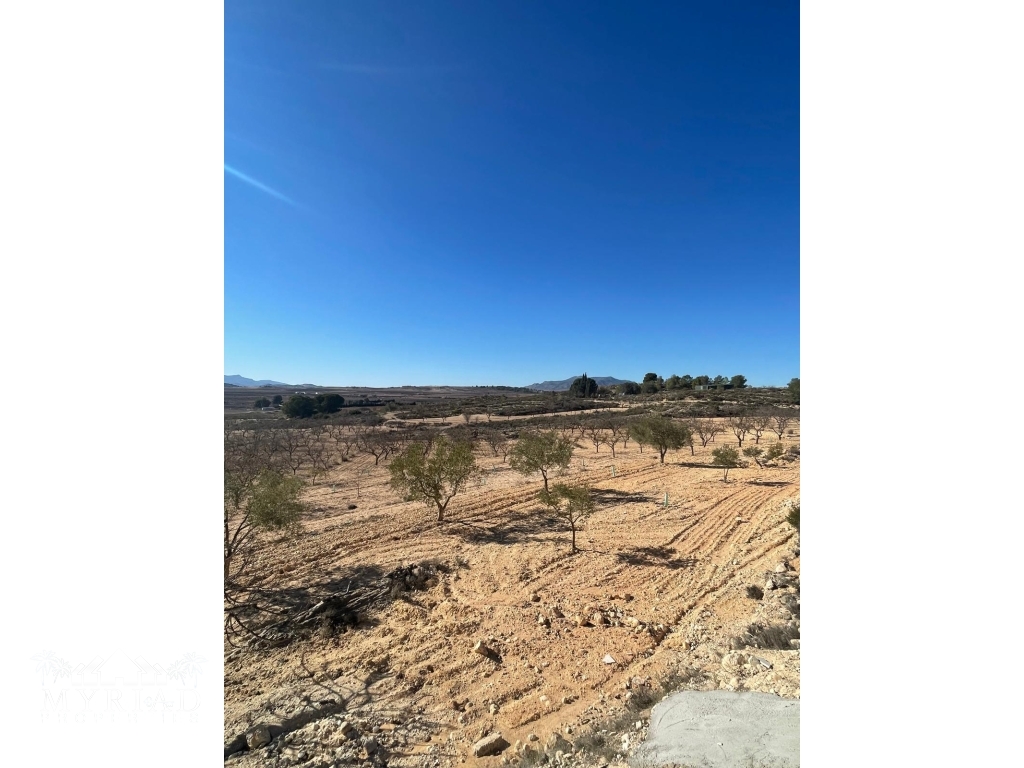 9cebcbf2-ec77-45d8-b39b-27f7e3093331