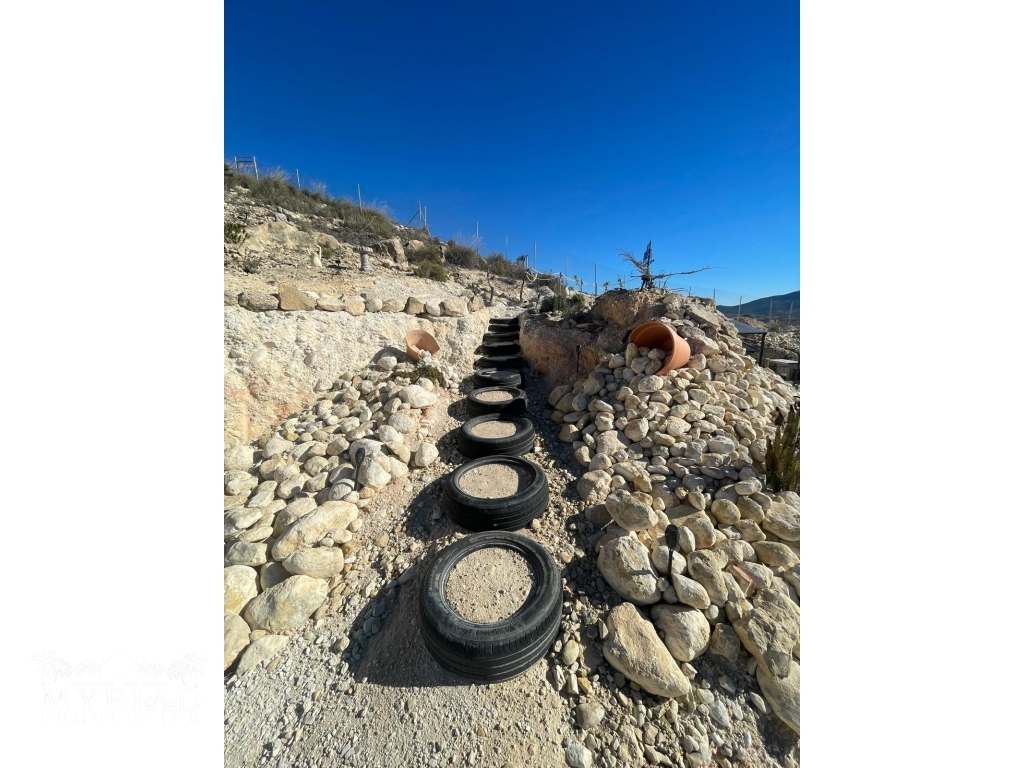 de104bc1-250a-4c0c-a720-b04c8aacaec1