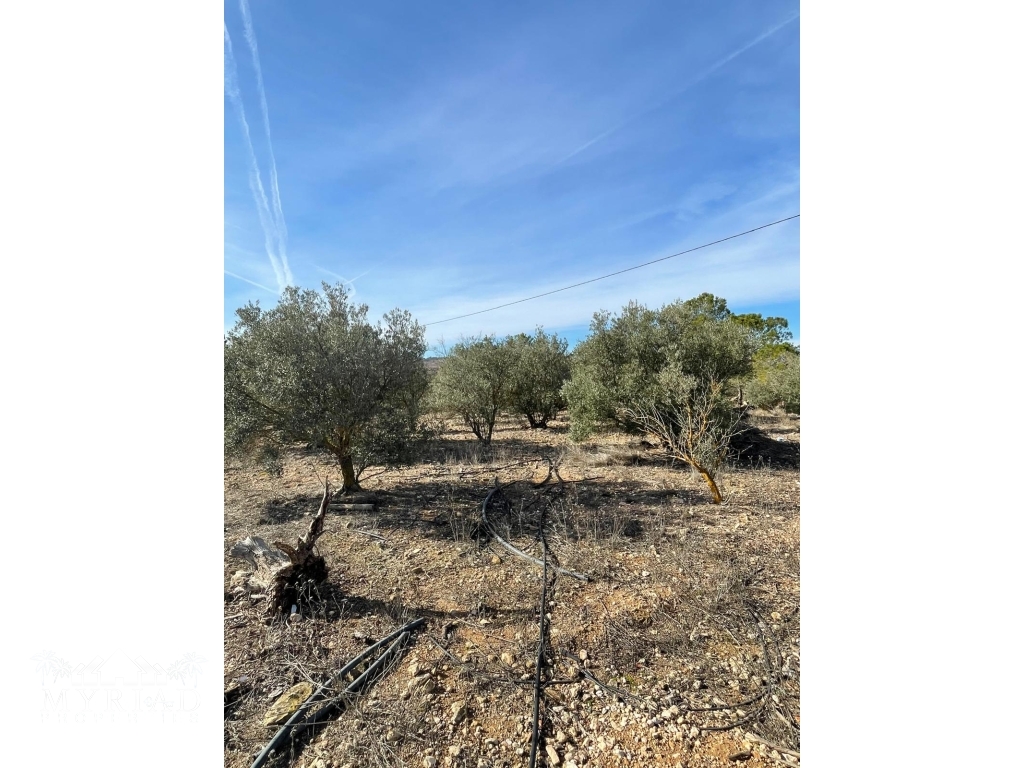 0d78b038-f893-4530-901b-d4d3f35c007a