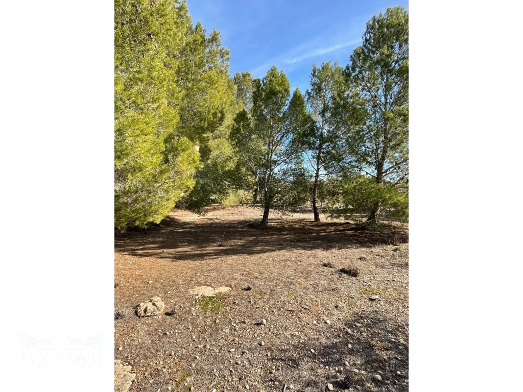 197573b6-8898-40c5-a853-c0379ffed3f8