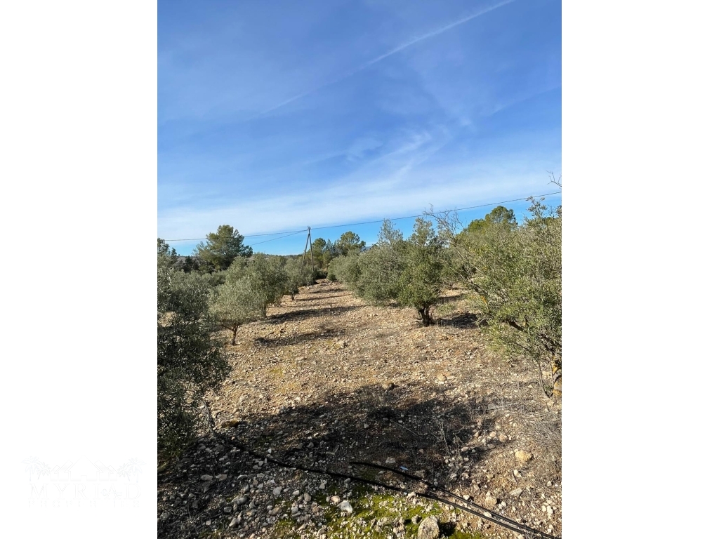 6631b400-0d6f-423c-9f3b-f70108efe72c