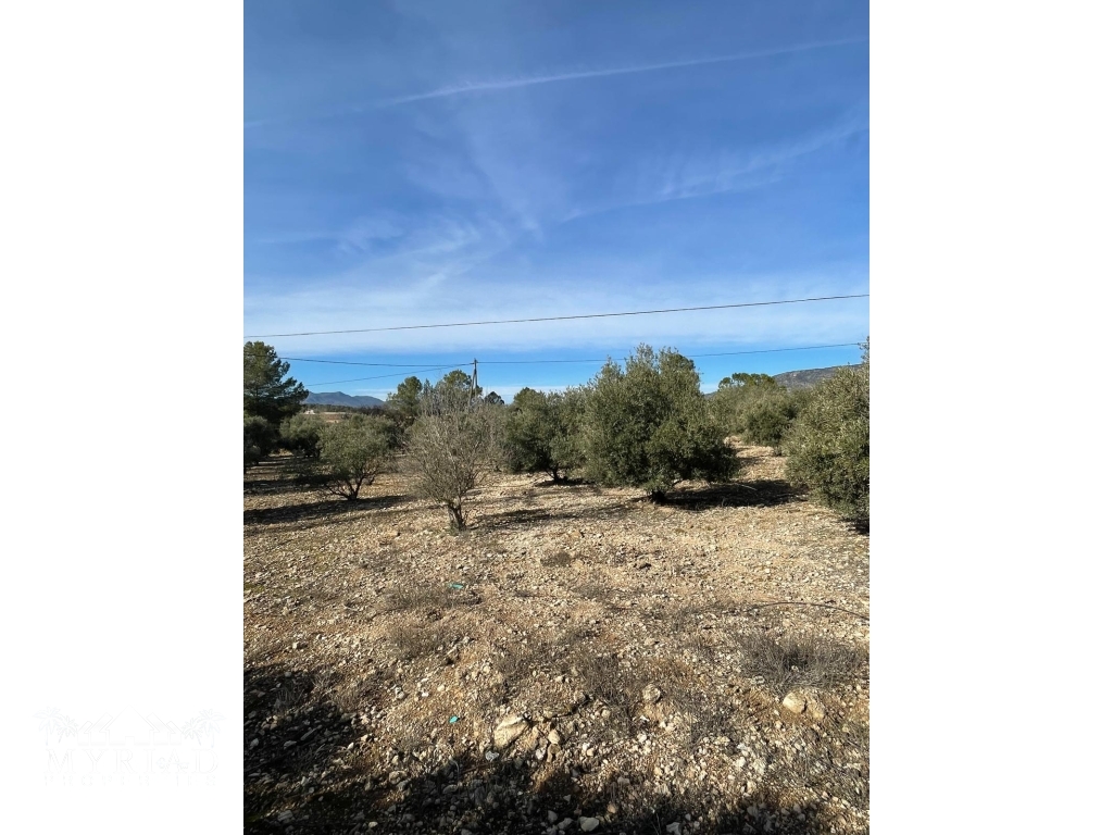 762c215f-ecba-4499-83e9-51258c5bd274