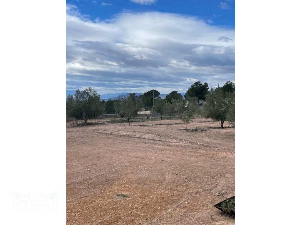 15798395-f2a2-4b0b-92ed-d817c319350c