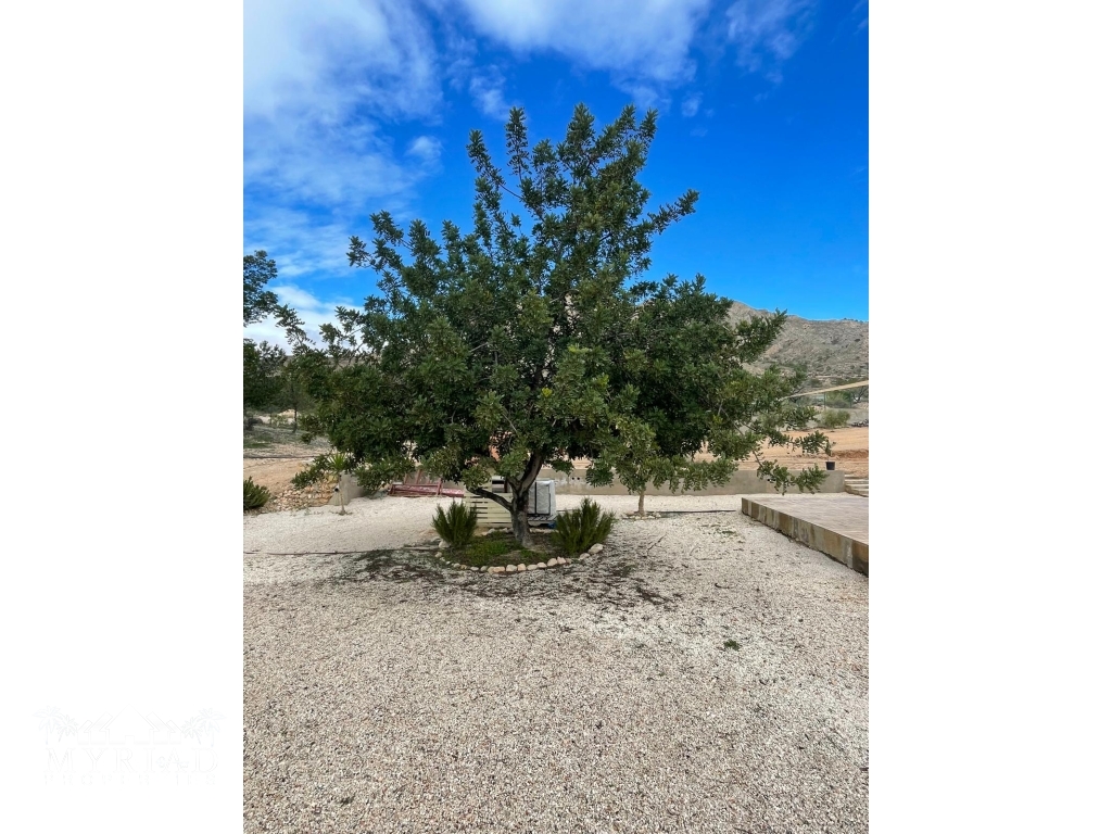 b17c88ad-4a13-4c76-b903-d6a4ea4bda7c