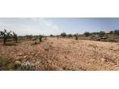 23-29689-0-116-8951/6655, Country House in Pinoso